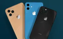 Foxconn hối hả tuyển quân chuẩn bị cho sự ra mắt iPhone 11