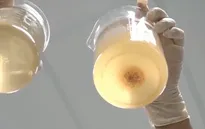 Phân biệt thực phẩm chức năng viên uống nano thật giả