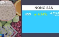 Giá các mặt hàng nông sản trên sàn Chicago hồi phục mạnh mẽ