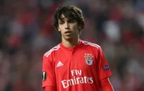 Joao Felix chính thức gia nhập Atletico Madrid