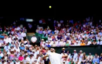 Vòng 4 đơn nam Wimbledon 2019, ngày 8/7: Nadal, Federer, Djokovic dễ dàng đi tiếp