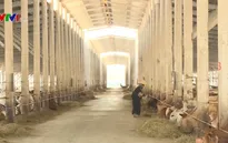 Nhiều doanh nghiệp chưa quan tâm đến EVFTA