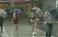 Nhật Bản kêu gọi hàng trăm nghìn người dân sơ tán để tránh bão Krosa