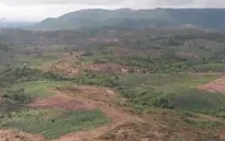 Lúng túng giải quyết tình trạng "xã hội đen" chiếm đất rừng