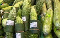Lan tỏa mô hình chống rác thải nhựa tại Thừa Thiên – Huế
