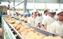 Tạo động lực bứt phá cho đặc sản dừa lên sàn thương mại điện tử