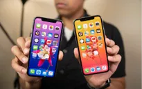 Apple có thể dùng màn hình OLED từ Trung Quốc cho iPhone 2020