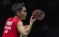 Kento Momota và Nozomi Okuhara vào tứ kết Giải cầu lông vô địch thế giới 2019