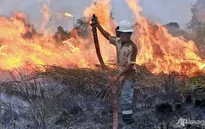 Indonesia huy động máy bay trực thăng đối phó cháy rừng