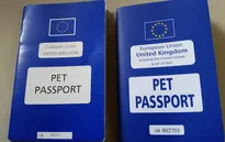 Brexit và hộ chiếu cho thú cưng ở Anh
