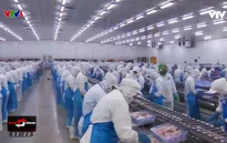 Tại sao năng suất lao động của Việt Nam hiện nay còn thấp?