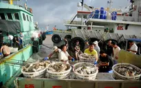 Siêu bão Lekima sắp đổ bộ Trung Quốc