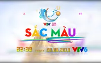 Chương trình đặc biệt: Sắc màu VTV Cup 2019 (22h30 ngày 9/8, trên VTV6)