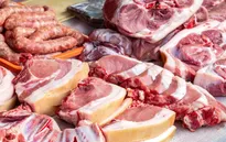 Ba người tử vong do nhiễm khuẩn Listeria tại Tây Ban Nha