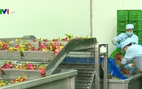 Thúc đẩy truy xuất nguồn gốc nông sản, đáp ứng yêu cầu xuất khẩu sang Trung Quốc