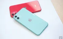 iPhone 11 xách tay Mỹ, Hong Kong, Singapore... khác nhau thế nào mà giá chênh cả vài triệu đồng?