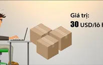 Khẩn trương có giải pháp quản lý thương mại điện tử hàng hóa xuyên biên giới
