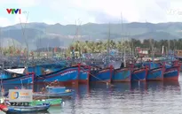 Nỗ lực gỡ thẻ vàng thủy sản: 2 năm liệu có xứng đáng?