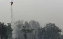 Bom nước - Phương pháp hữu hiệu dập cháy rừng ở Indonesia