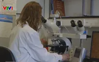 Các nhà khoa học Anh giải trình tự gene virus SARS-CoV-2 để vẽ bản đồ lây nhiễm