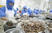 Tăng tiền thưởng Tết cho công nhân thủy sản
