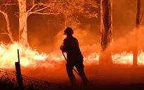 Giữa tâm bão cháy rừng, Australia liên tiếp phát hiện các vụ cố ý phóng hoả