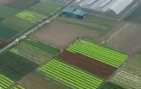 Làm sao để thúc đẩy tín dụng vào nông nghiệp công nghệ cao?