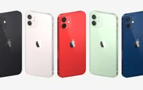 iPhone 12 ra mắt với 4 phiên bản, cải tiến mạnh mẽ về camera
