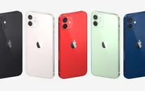 iPhone 12 vừa ra mắt, nhiều trang web đã nhận “đặt hàng”