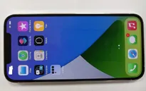 iPhone 12 Pro Max bất ngờ lộ diện tại Việt Nam trước ngày lên kệ
