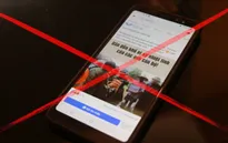 Đăng thông tin xấu, độc trên mạng Internet: Cần phải bị nghiêm trị!