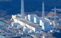 Nước thải từ nhà máy điện hạt nhân Fukushima có thể làm biến đổi ADN