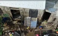 Mái nhà nhỏ chông chênh của những đứa trẻ nghèo vùng lũ