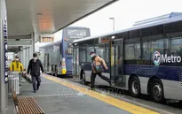 New Zealand dỡ bỏ hạn chế tại Auckland trong tuần này