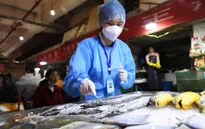 Trung Quốc lại phát hiện virus SARS-CoV-2 trên hàng đông lạnh nhập khẩu