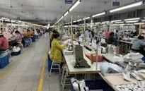 IMF: Tăng trưởng kinh tế Việt Nam 2020 thuộc nhóm cao nhất thế giới