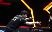 Ma Long và Wang Chuqin vào chung kết đơn nam giải bóng bàn WTT Finals