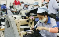 Khi nào dệt may Việt mới hưởng lợi từ EVFTA?