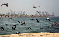 Tấn công khủng bố tàu chở dầu tại cảng Jeddah của Saudi Arabia