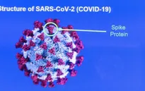 Khả năng lây nhiễm của biến thể SARS-CoV-2 mới cao hơn tới 70% so với chủng gốc