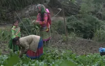 Xót xa hoàn cảnh của cô bé dân tộc nhút nhát