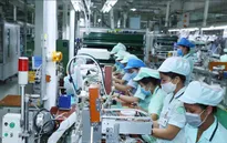 COVID-19: Cơ hội cho đổi mới sáng tạo Việt Nam
