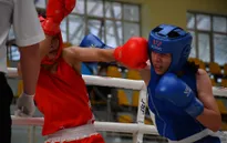Kết thúc vòng loại giải vô địch boxing toàn quốc 2020