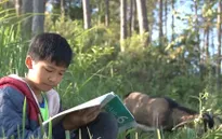 Ước mơ bác sĩ của cậu bé chăn dê hiếu học