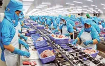 Doanh nghiệp ở Cần Thơ cố gắng vượt qua khó khăn trong thời điểm dịch COVID-19