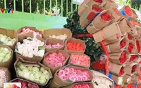 Nhiều cửa hàng đau đầu hút khách dịp Valentine