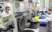 WHO kêu gọi hợp tác phát triển vaccine phòng COVID-19