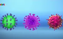 Nhật Bản phân lập thành công virus Corona mới