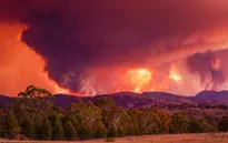 Cháy rừng nghiêm trọng tại thủ đô của Australia