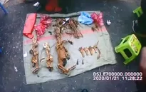 Trung Quốc soạn luật chống tiêu thụ động vật hoang dã